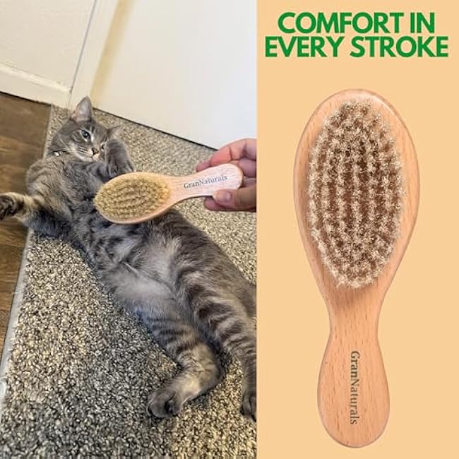 GranNaturals Boar Bristle Soft Cat Brush for Indoor, Outdoor, Short Haired Cats, Kittens, Small Dog, Rabbit, Furry Pets - Gentle Grooming on Sensitive Hair Coat & Tail with Durable Wooden Handle-uJmoZenC