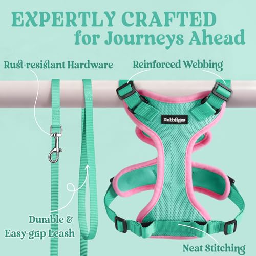 Image of rabbitgoo Cat Harness and Leash Set, Escape Proof Vest, Green & Pink | Soft Breathable Mesh, Easy Adjustable Fit, Snap Buckles, Sturdy Clip, Reflective Strips, for Kittens & Small Cats Walks, Xxs