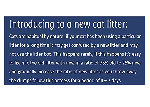 Image of JiMMy Pet Products Joy Cat Litter Fine Lavender Fragrance (5 Kg)
