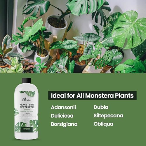 16oz Monstera Plant Food – Makes 96 Gallons of Monstera Fertilizer, Liquid Indoor Plant Fertilizer for Obliqua, Deliciosa and More, 6-2-4 NPK Ratio for Houseplants’ Healthy Growth & Glossy Leaves