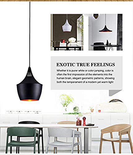 Image of GreyWings Black Aluminium Hanging Pendant Light for Ceiling, Indoor Decorative Lamp for Living Room, Bedroom, Kitchen, E27 Holder, (Small) Pack of 1
