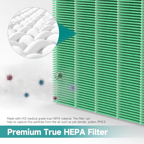 Image of 5510 Toxin Absorber Replacement Filter for Winix 5510 and 5520 Air Purifi-er, Filter Q Replacement Combo Pack Includes: 2 Main Filters & 2 Carbon Filter, Green