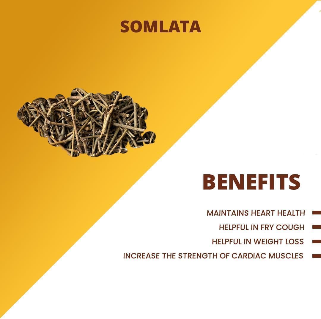 Somlata 500g | Ephedra Vulgaris | Ephedra gerardiana