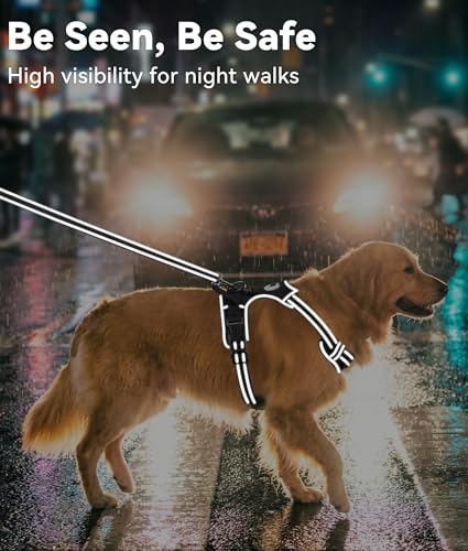 Joytale No Pull Dog Harness Medium Sized Dog, Front Clip, Black | Grab Handle for Instant Control, Padded & Adjustable Vest, Sturdy Metal D-Rings, for Safe Training & Daily Walking - Image 6