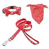 Il collare regolabile e il guinzaglio per cani sono realizzati in cotone (strato esterno) e nylon (strato interno in rosso) con cuciture pulite e resistenti per una maggiore durata. I materiali sono morbidi al tatto e comodi da indossare che non causano problemi alla pelle del cane o della mano.