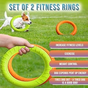 Forest-Twelfth-Set-of-2-Dog-Rings-Dog-Ring-Toy-Set-Agility-Training-Equipment-for-Dogs-Puppies-Outdoor-Dog-Toys-Flying-and-Floating-Dog-Exercise-Equipment-Complete-with-Training-Whistle - Cucciolini Doodles   Forest-Twelfth-Set-of-2-Dog-Rings-Dog-Ring-Toy-Set-Agility-Training-Equipment-for-Dogs-Puppies-Outdoor-Dog-Toys-Flying-and-Floating-Dog-Exercise-Equipment-Complete-with-Training-Whistle