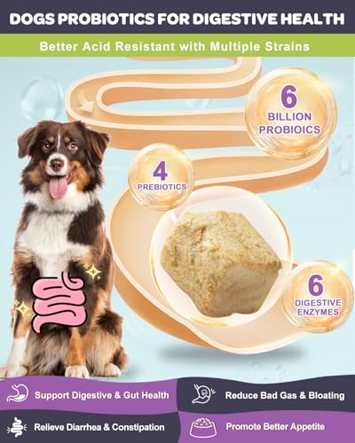 NATURE TARGET Probiotics for Dogs, Salmon-Flavored - 120 Counts - Image 3