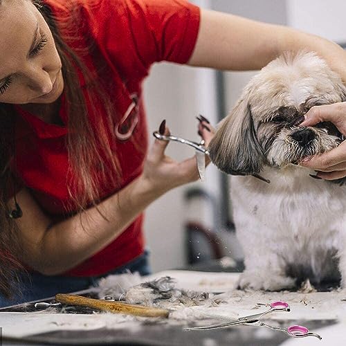 Dog Grooming Scissors Curved 7 Inch Stainless Steel with Safety Round Tips Professional Pet Grooming Shears for Dogs and Cats Dog Grooming Scissors Curved 7 Inch Stainless Steel with Safety Round Tips Professional Pet Grooming Shears for Dogs and Cats