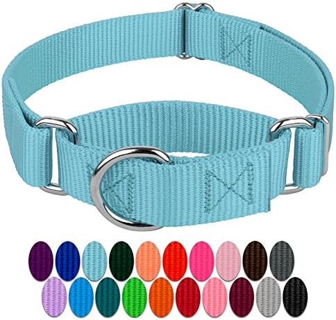 Country Brook Petz - Ocean Blue Martingale Heavy Duty Nylon Dog Collar - 21 Vibrant Color Options (1 Inch Width, Medium)