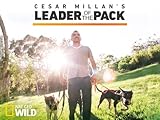 Cesar Millan's Leader of the Pack Season 1
