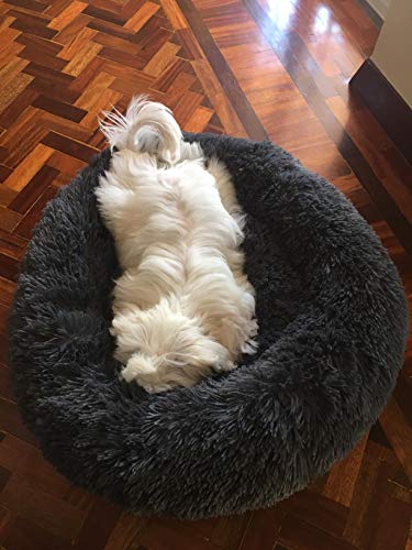 Lit pour chat et chien avec matelas lavable résistant et antidérapant gris - 4
