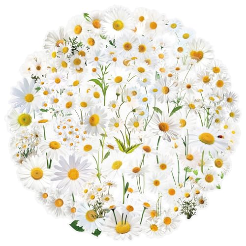 50 Pcs Daisy Flower Stickers Cute Cartoon Transparency PET Sticker for Laptops Water Bottles Flower Pots Vases Decorative Phone Book Guitar Vinyl Decals for Kids Teens Adults (Daisy)