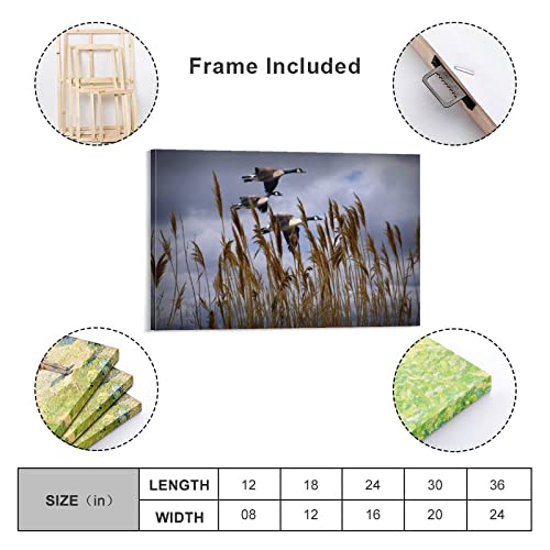 Canada Goose Photo Goose Landing Waterfowl Photography West Michigan Nature Landscape Still Life Aes Canvas Wall Art Prints For Wall Decor Room Decor Bedroom Decor Gifts 24X36Inch(60X90Cm) Frame-Sty #TOP1