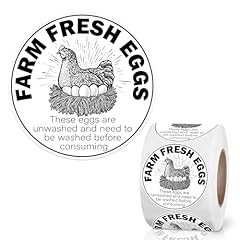 Farm Fresh Eggs B