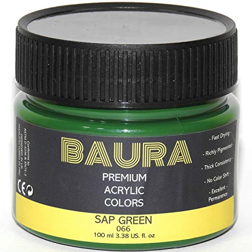 Sap Green Acrylic Paint Set, Baura 24 Colors (100ml, 3.38oz,Bottle) Art Craft Paint Supplies for Canvas Wood Rock Painting, Rich Pigments Non Toxic Paints for Kids Beginners Students Artist Painter Christmas Decorations