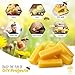 Eco Lux 8 Yellow Beeswax Blocks 100% Pure Natural Organic Bees Wax 6.5oz