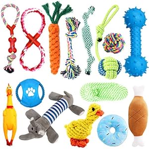TOPSEAS Juguetes para Perros,Juguetes Interactivos Juego de 15 Piezas Juguete para Perros,Juguete Perro ecológico, Seguro y Duradero se Puede Utilizar para Limpiar los Dientes de los Perros