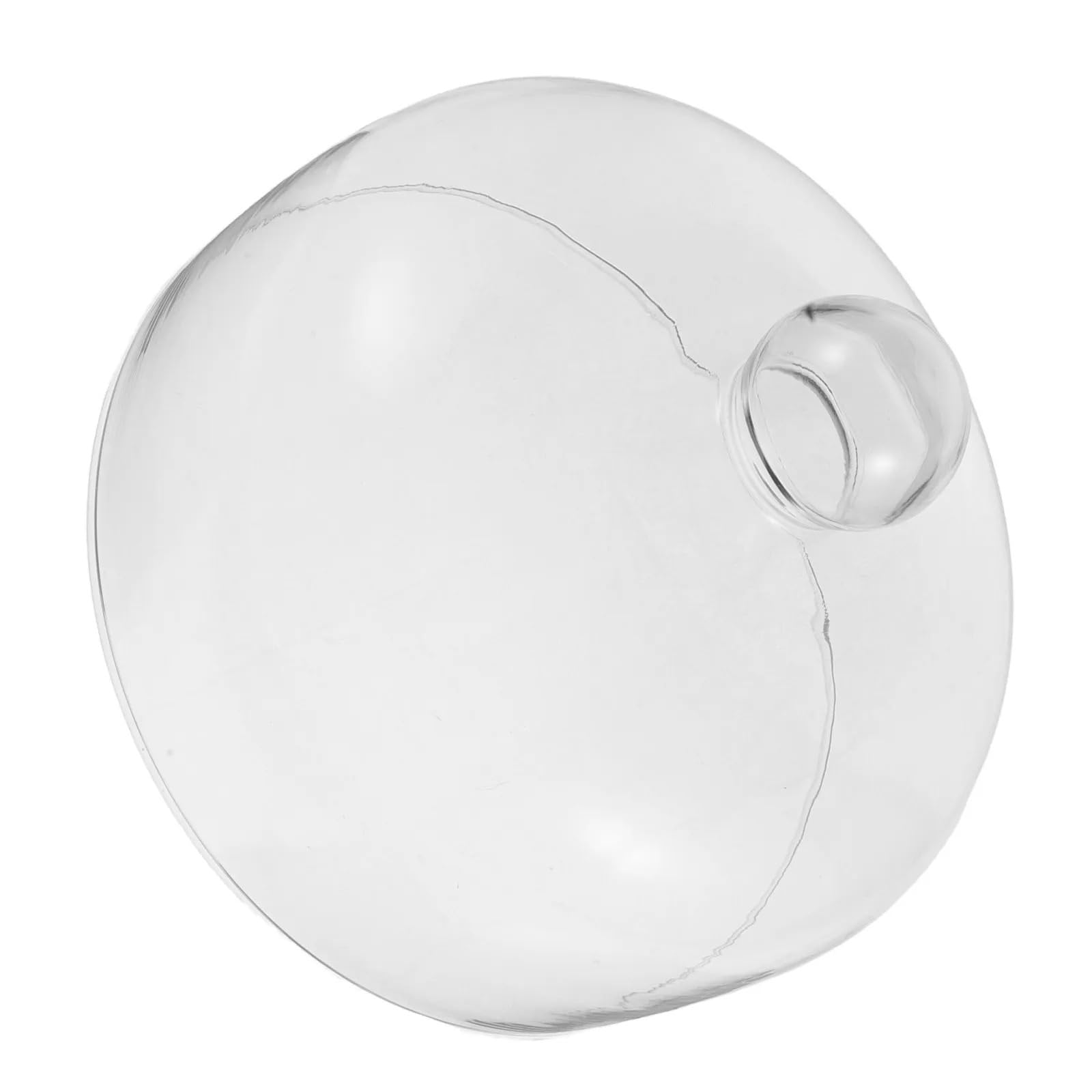 Copertura Microonde in Vetro Coprivivande In Vetro for Microonde 24Cm