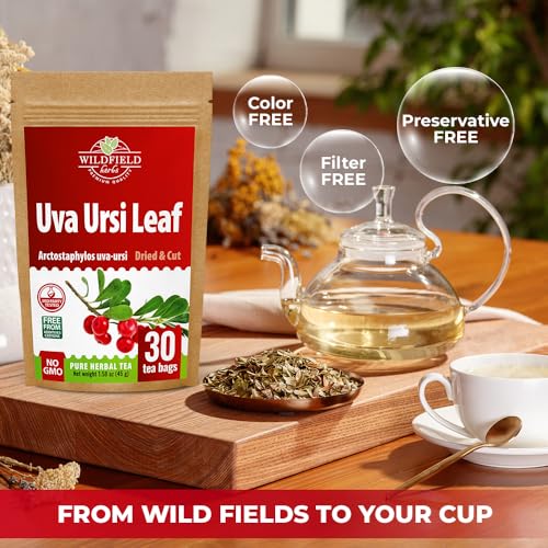 Image of 30 Bags Uva Ursi Leaf Uva Ursi Tea Herbal (Arctostaphylos Uva-Ursi) - 30 Count 1.5g Tea Bags Ursa Bag Uva-Ursi Herb Arctostaphylos Uva-Ursi