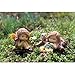 Top Collection Miniature Fairy Garden and Terrarium Sleeping Little Fairy