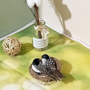 4Inch Artificial Birds Nests Decor with Fake Birds Decorative Faux Grass Bird Nest for Easter Crafts Spring Decoration Christmas Tree Ornaments 4Inch Artificial Birds Nests Decor with Fake Birds Decorative Faux Grass Bird Nest for Easter Crafts Spring Decoration Christmas Tree Ornaments