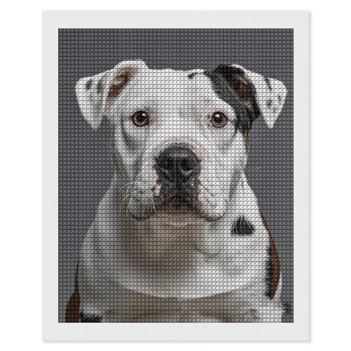 Peinture diamant dalmatien 5D FodPand pour adultes avec foret carré