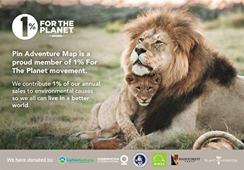 World Map With Push Pins On Canvas | Premium Push Pin World Map | Travel Map With Pins World Personalized | 24 X 32 #TOP6