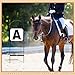 Soaoo 8 Pcs Dressage Letters Arena Markers Dressage Equipment for Equestrian Athletes and Events, Black (A,B,C,E,F,H,K,M Letters)