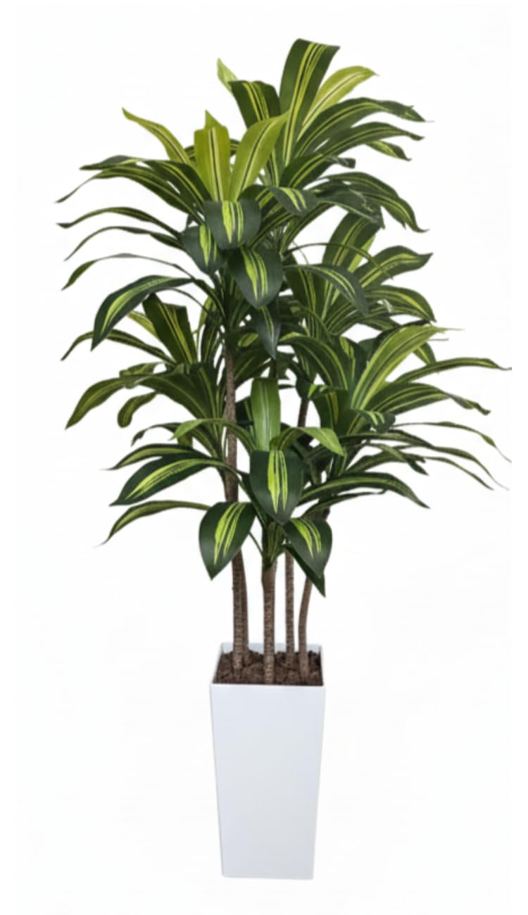 Amazon｜Kugusa 【生花店監修】 フェイクグリーン ドラセナ 150cm 大型