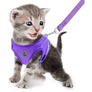 FEimaX Imbracatura e Guinzagli Set per Cani, Pettorina Imbottita a Morbida per Cuccioli e Gatti, Imbracature di Traspiranti Regolabili Riflettenti per Camminare, Corsa, Allenamento