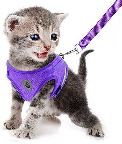 FEimaX Small Cat Dog Harness and Leash Set, No Pull Adjustable Pet Harness with Reflective Strips, Escape Proof Puppy Kitten Vest for Extra Small Dogs Cats — image 1