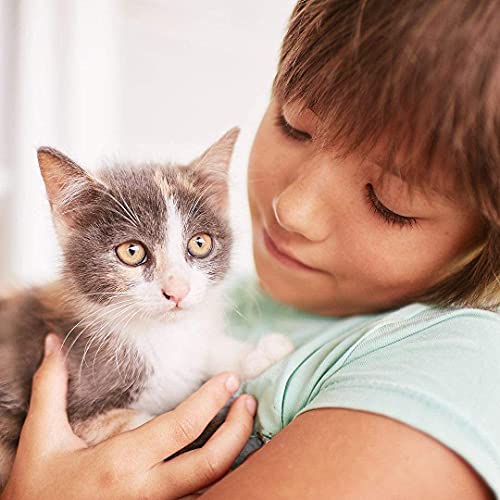 Fleebs Cat Collar 8-Month Validity Period with Nаturаl Essential Oils Adjustable Collars for Cats Kitten Collar Fits All… - Image 7