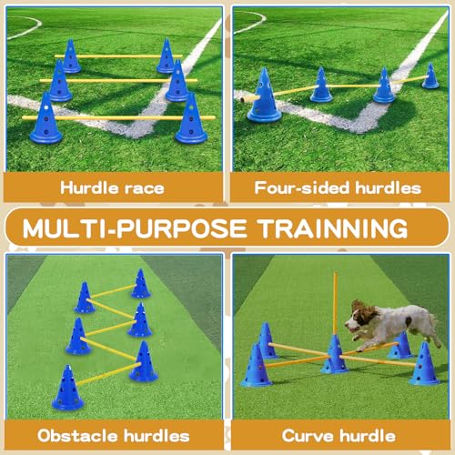 Dog Agility Training Tips