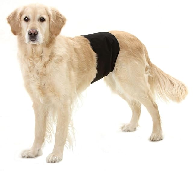Foto 4 de 5 de Karlie 1031702 Pañales para Perro Macho, Negro, 40 x 10 cm, XS
