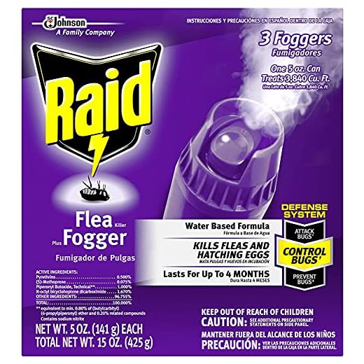 Raid Flea Flogger Plus Insect Killer
