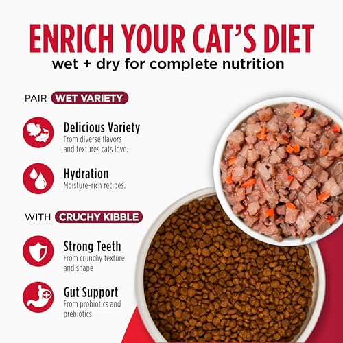 Nulo Freestyle Cat & Kitten Dry Food - Chicken & Cod Recipe, High Protein Grain Free Cat Food, Natural Kibble with Probiotics & Omega Fatty Acids, 14lb Bag - Image 7