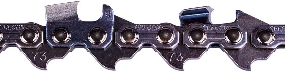 Oregon Scie à Chaîne PowerCut E60 De 16 Po Oregon. Barre 60 Maillons