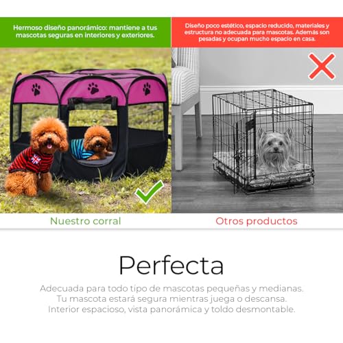 Consejos para Comprar Tienda de mascotas que puedes comprar esta semana. 12 Imagen adicional
