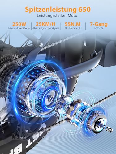 Touroll S2 E-Bike Klapprad Elektrofahrrad mit 20×4.0 Zoll Fat Tire, 48V 720Wh Akku für Lange Reichweite bis...