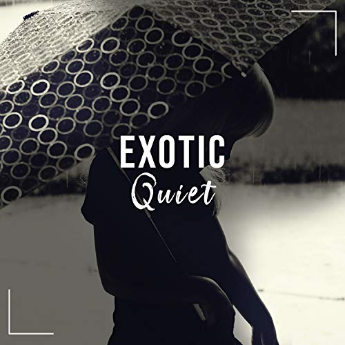 Exotic Quiet Rainforest Ambience & Calming Sounds