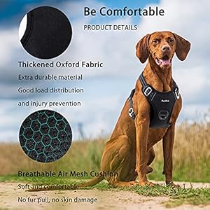 Funfox Dog Harness Medium Sized Dog No Pull Dog Vest Adjustable Comfortable Breathable Material Reflective Strips with Metal Clip for Control Easy Walking for Medium Breed Dogs Black  Cucciolini Doodles Funfox dog harness medium sized dog no pull dog vest adjustable comfortable breathable material reflective strips with metal clip for control easy walking for medium breed dogs black   cucciolini doodles