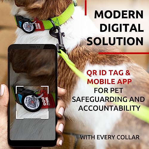 Collar impermeable WAUDOG ajustable con placa QR para perros miniatura 3