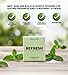 1x Refresh Gum Garden Mint (12 PC.) Bundle with Plastic Bag Clip for Resealing Packs and Maintaining Neat Storage — Gift Set (2 Items)