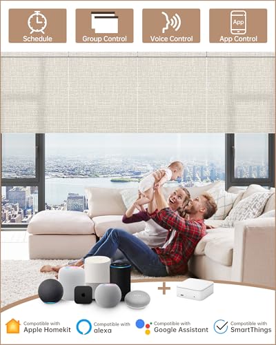Smart home Alexa hub
