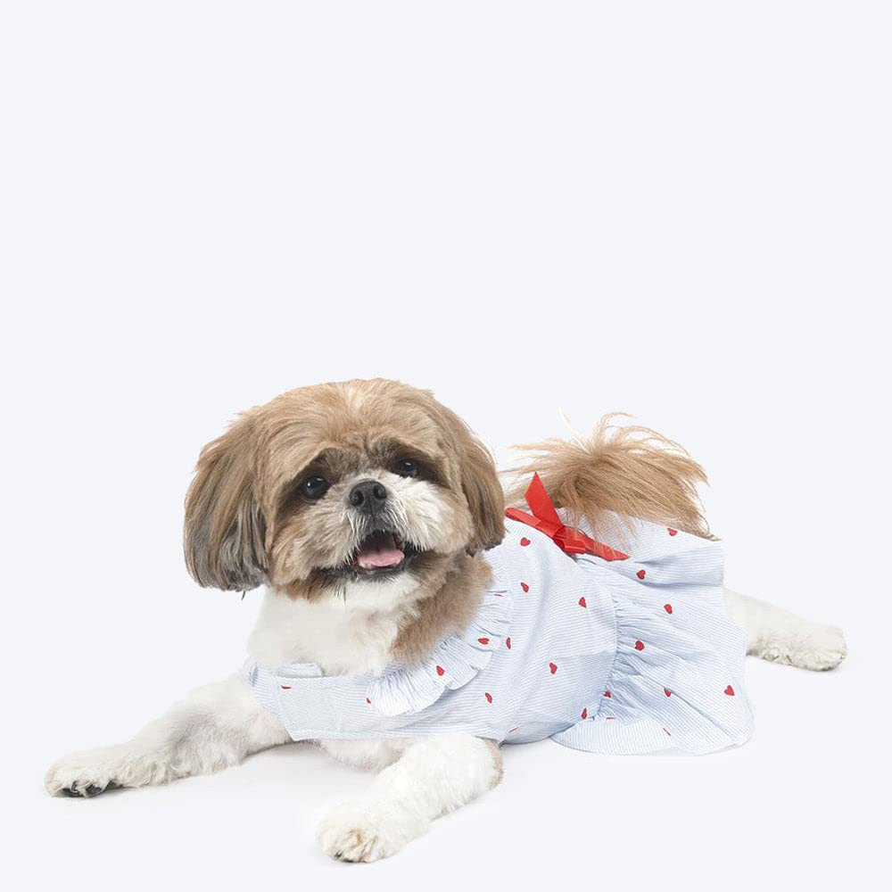 HUFT Heart and Stripes Dog Dress (B0BSTV81JT) Amazon Price History, Amazon Price Tracker