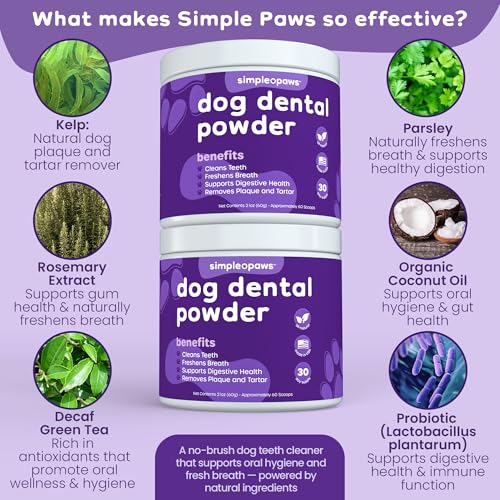 Image of Dog Dental Powder for Teeth Cleaning - Dental Powder for Dogs Teeth | Prevent Dog Bad Breath with Probiotics for Fresh Breath & Oral Health - Chicken Flavored, 60 Scoop Supply