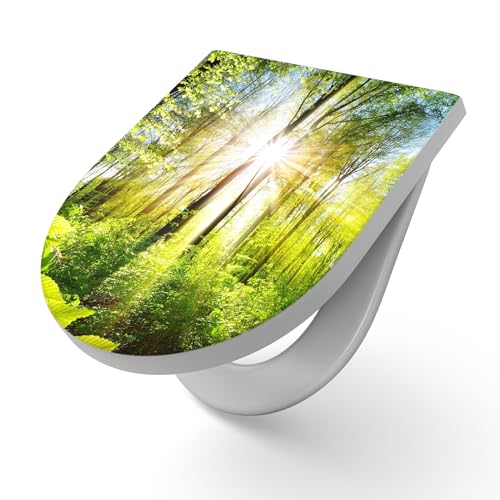 DEQORI Toilettensitz mit Motiv Licht durchdringt Bäume | WC Sitz in Weiß aus Duroplast | Format 36,4x45,4 cm – antibakterielle Klobrille für D-Form WC mit Deckel – pflegeleicht & dekorativ