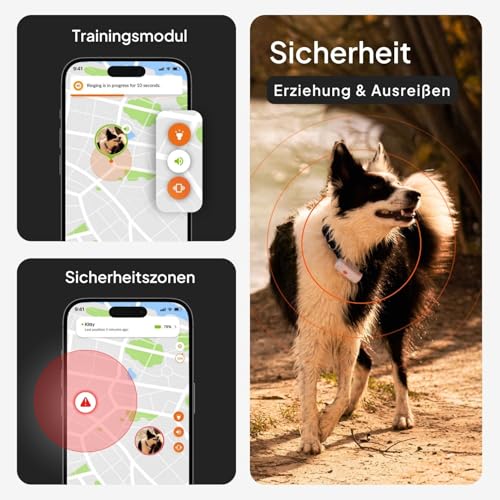 Weenect XS für Hunde - Mini GPS-Tracker für Hunde | GPS-Tracking in Echtzeit | Kleinstes Modell auf dem Markt | Abonnement | Wasserdicht