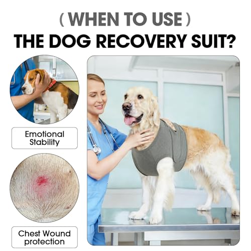 Image of BRKURLEG Chest Recovery Suit for Dogs, Chest Wound Cover, Grey S | Chest & Shoulder Protection, Breathable & Soft Anti-Licking Wound Vest, for Chest Surgery Recovery, Cone Alternative