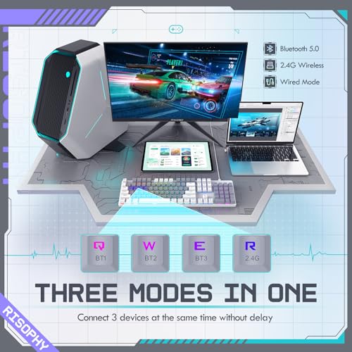 Image of RisoPhy Wireless Mechanical Keyboard, Triple Mode 2.4G /USB-C /Bluetooth Gaming Keyboard, 104 Keys Programmable, Customize RGB Backlit, Red Switch, Bicolor PBT Keycaps, Rechargeable Wired for Laptop PC